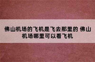 佛山机场的飞机是飞去那里的 佛山机场哪里可以看飞机